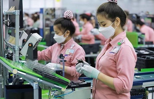 訂單驟減、裁員風暴與轉(zhuǎn)型陣痛 越南“世界工廠”夢的軟件業(yè)挑戰(zhàn)